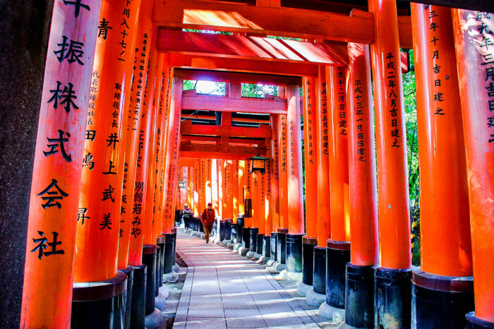 11-DAY JAPAN