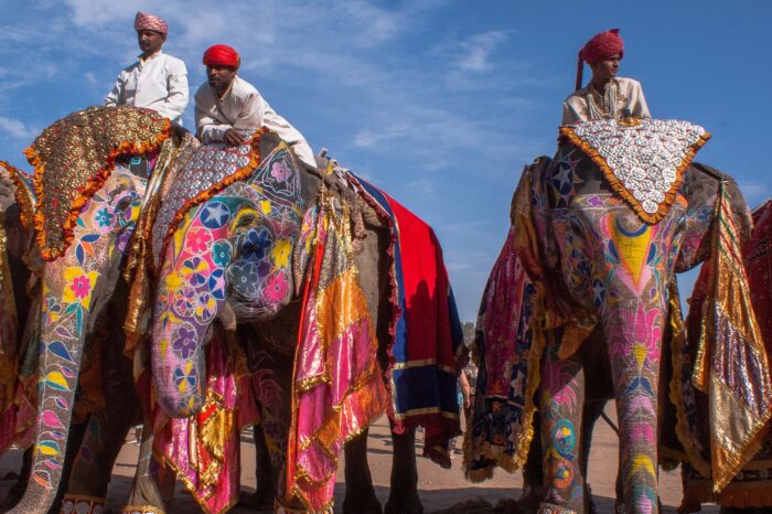 10-DAY INDIA